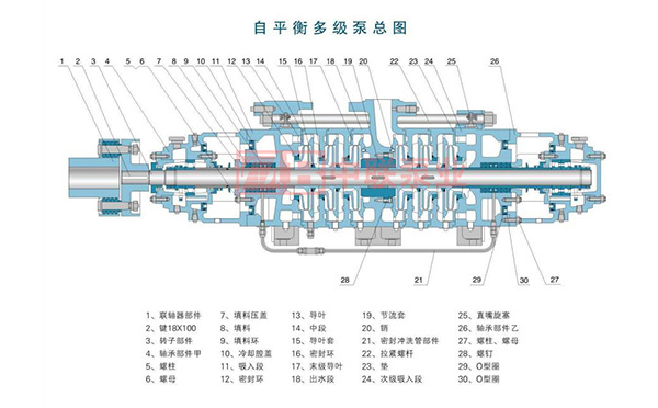 自平衡多級泵結構圖